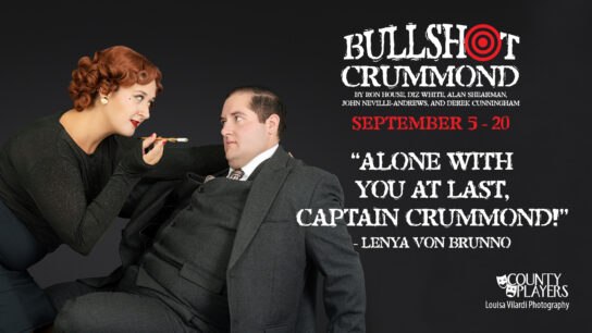 Bullshot Crummond PROMO Facebook 5