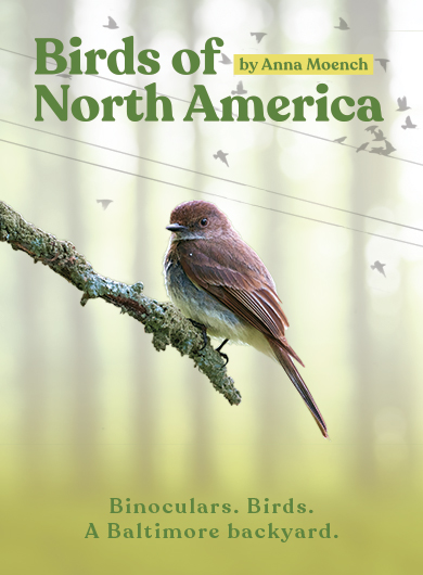cover of the Birds of North America program
