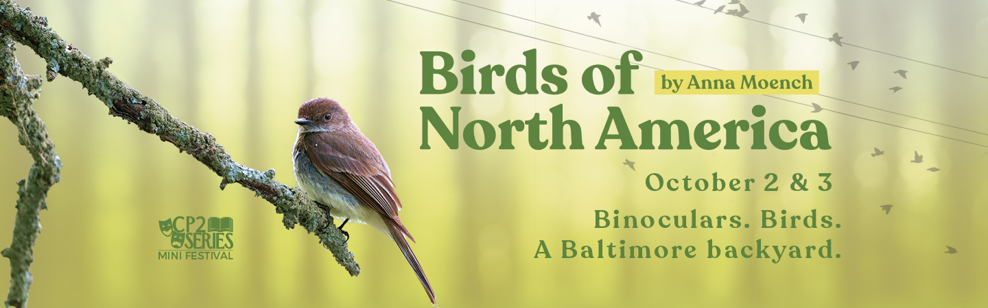 Birds of North America Hero