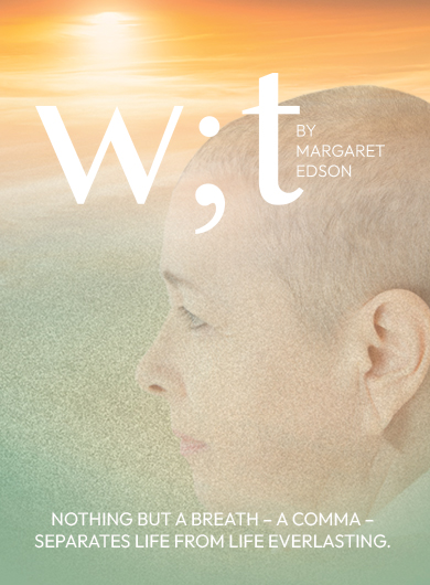 cover of the Wit program